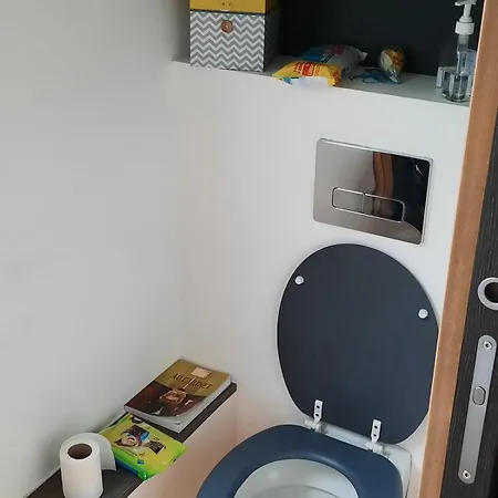 Maison Arcachonnaise Avec Piscine Chauffee Pour 10 Personnes Pessac