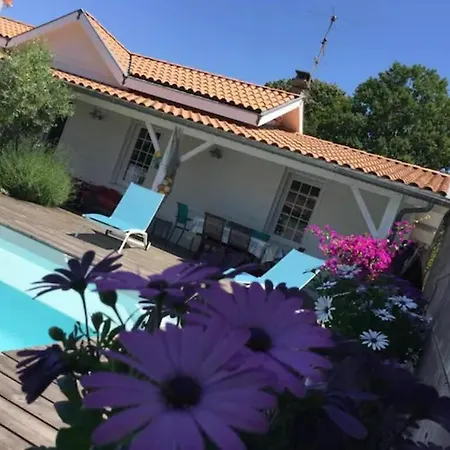 Maison Arcachonnaise Avec Piscine Chauffee Pour 10 Personnes Holiday home Pessac